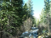 little_patches_of_snow