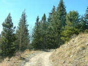 mellow_trail