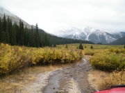 snowy_mountains