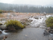 through_the_creek