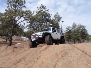 frank_in_the_rock_garden