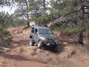 walt_down_the_rocky_hill