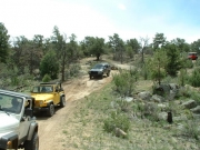 down_the_trail