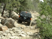kendall_in_the_rock_garden