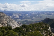 P1000233