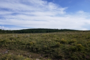 P1030717