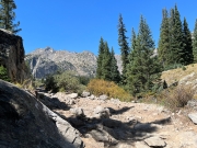 IMG_2446