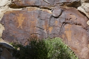 P1010137