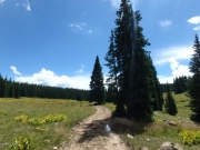 P8140226