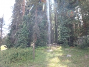 P8140228