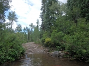 P8140289
