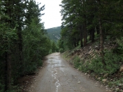 P7290278