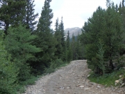 P7290282