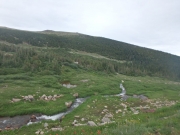 P7290311