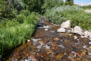 P1020571