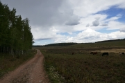 P1030552