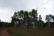 P1030559