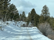 IMG_0819