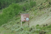 P1010803