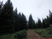 P7290052