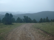 P7290087