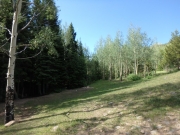 P7150063