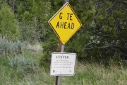 P1000663