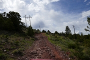 P1000681