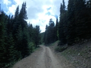 P7150214