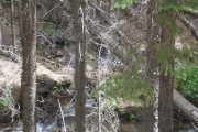 P1060470