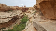 P20170514_154154