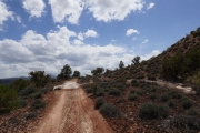 P1050472