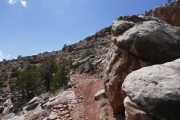 P1050475