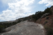 P1050526