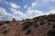 P1050532