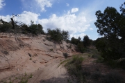 P1050550