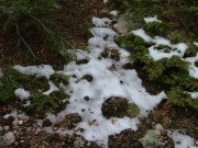 snow_next_to_the_trail