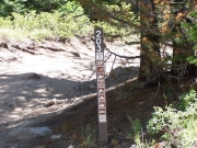 forest_road_sign