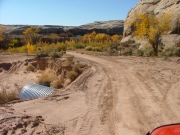 early_trail