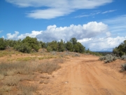 mellow_trail