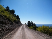 straight_trail