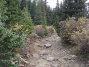 hill_climb