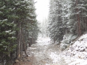 winter_trail