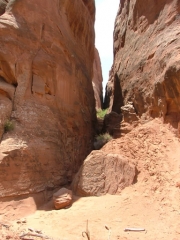 hike_to_tower_arch_part_8
