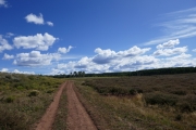 P1030501