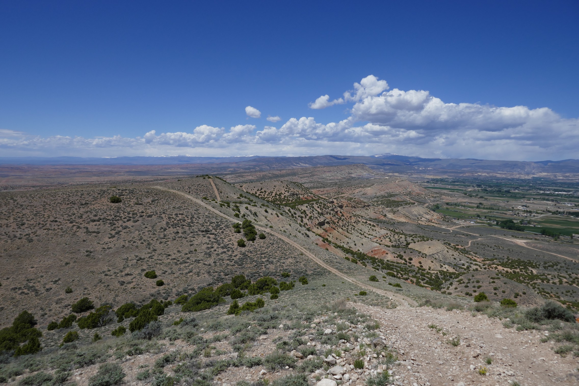 Asphalt Ridge 180515 – TrailDamage.com