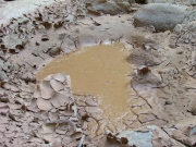 dried_mud_part_1
