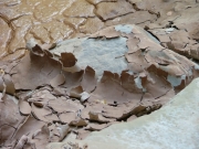 dried_mud_part_2