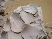 dried_mud_part_3