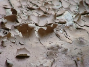 dried_mud_part_4